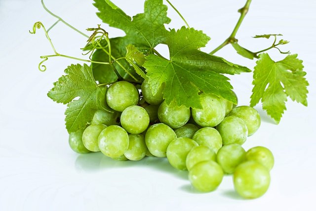 grapes-582207_1280.jpg