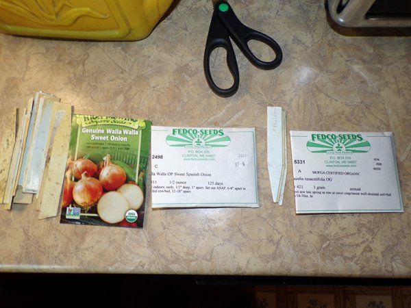 2nd seed starting - seeds crop March 2020.jpg