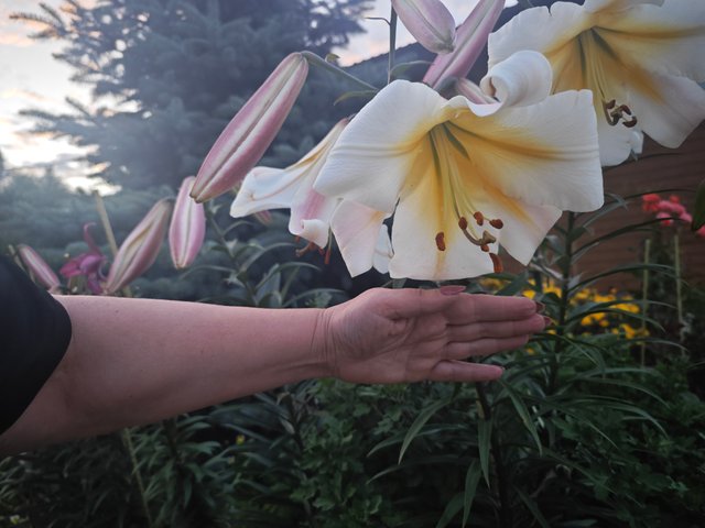 1000083829.jpg
