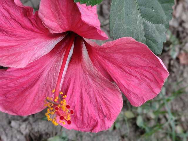IMG_20250319_170610.jpg