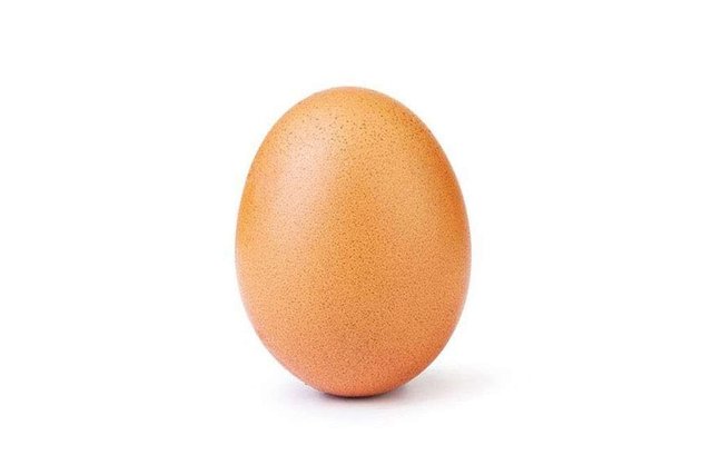the-instagram-egg-1024x683.jpg
