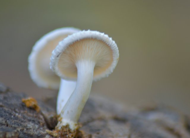 _AHW0711.jpg