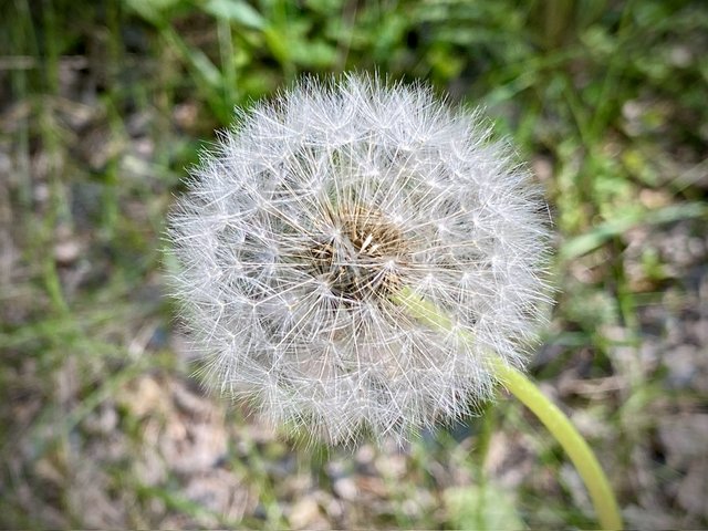 IMG_6514.jpeg