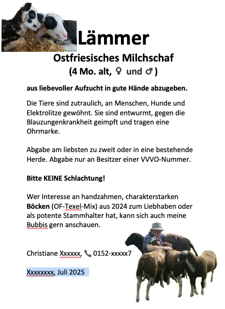 Bildschirmfoto 2025-07-14 um 13.39.33.png
