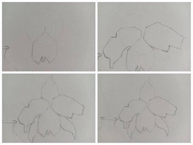 Collage_20250809_163936.jpg