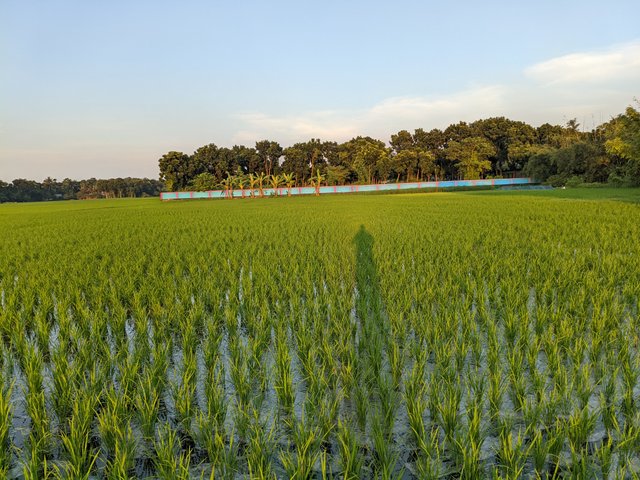 1000051610.jpg