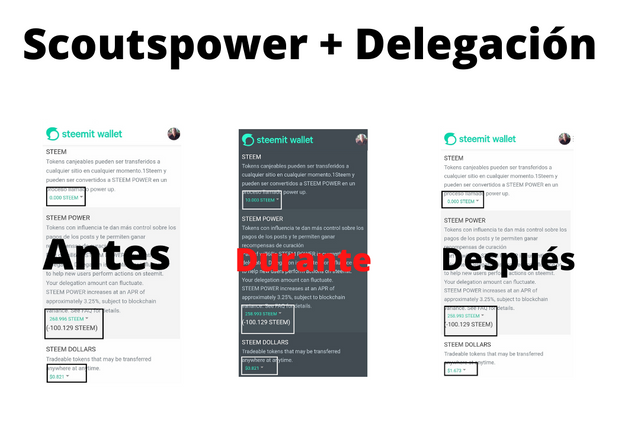 Scoutspower + Delegación.png