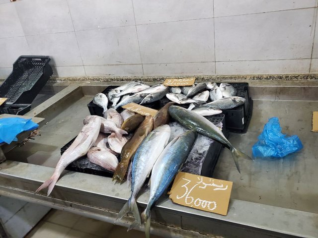 poissons.jfif
