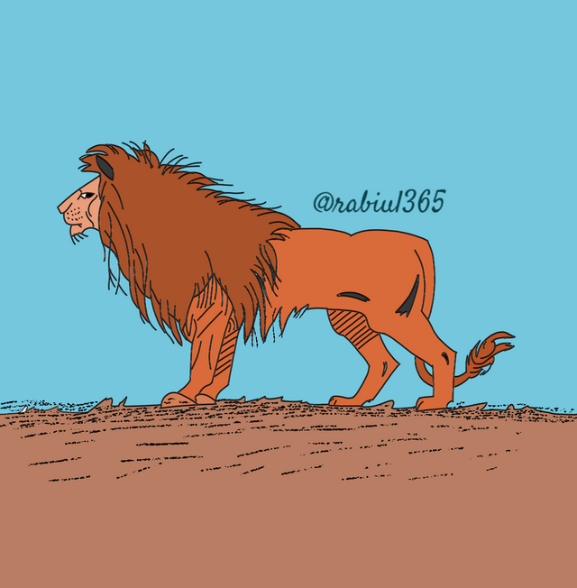 Lion s.png