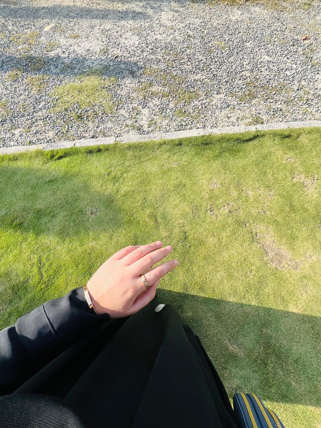 hand pic.jpg