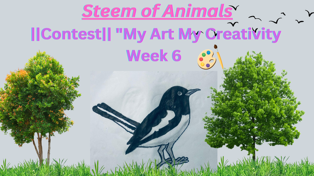 Contest My Art My Creativity Week 6.png