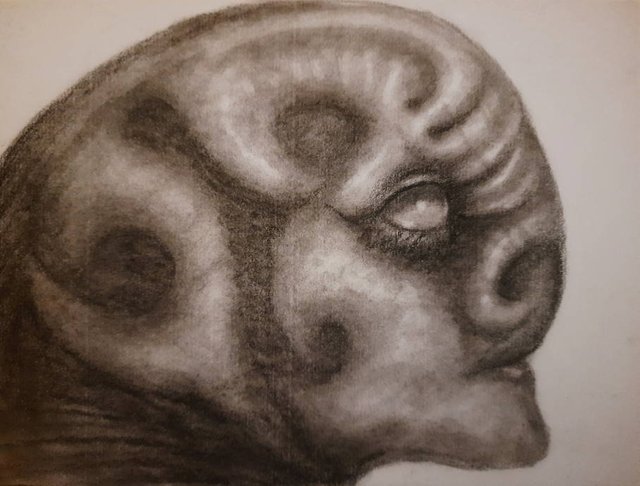 20250711_112046.jpg