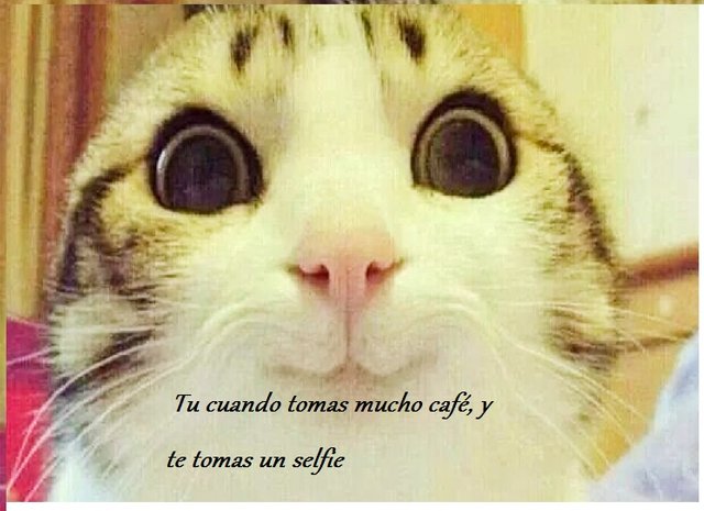 Tu cuando tomas mucho café, y te tomas un selfie.jpg