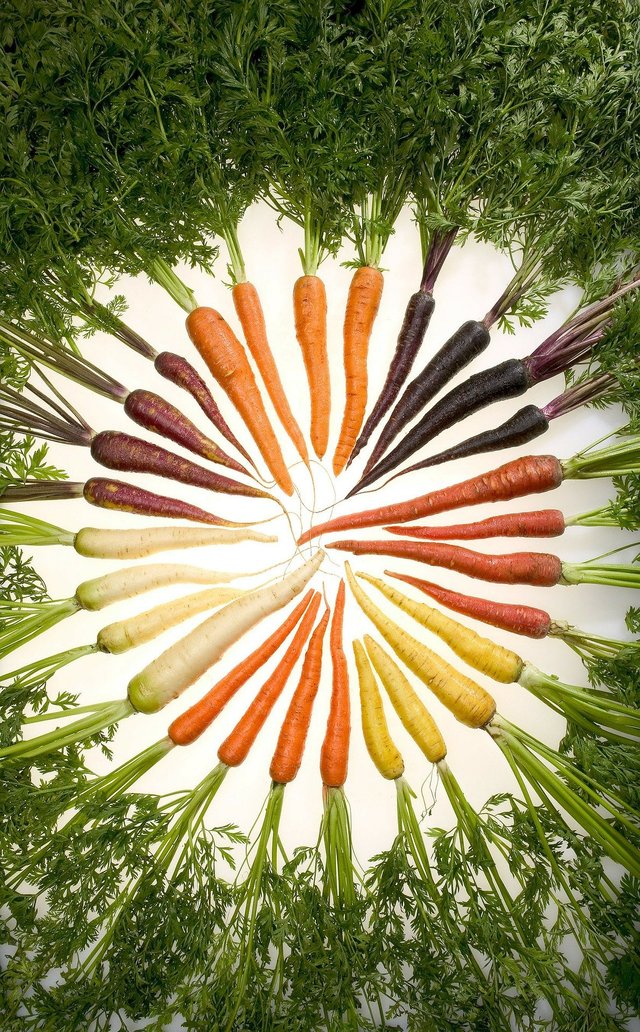 carrots-76653_1920.jpg