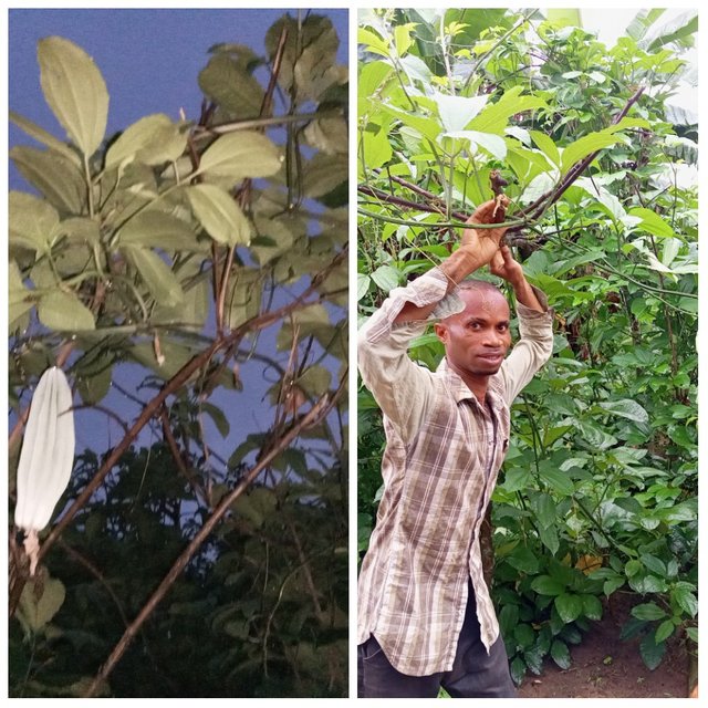 PhotoGrid_Site_1724493988578.jpg