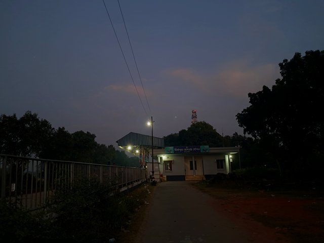 1000010141.jpg