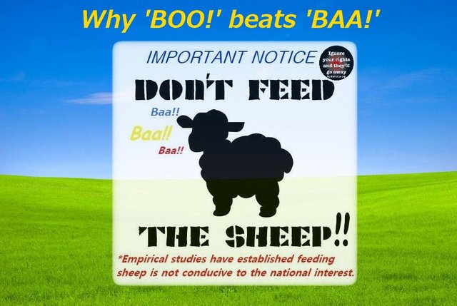 boo-beats-baa.jpg