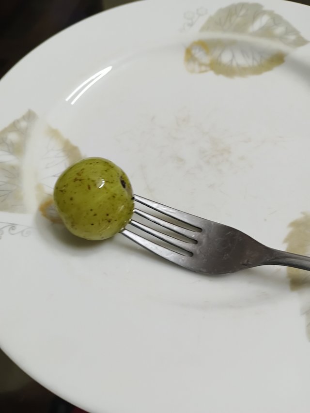 6499.jpg
