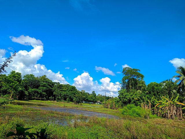 IMG20240909141948.jpg