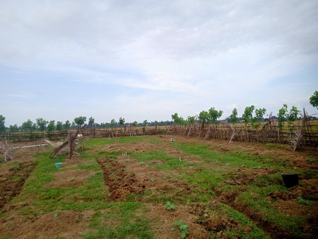 IMG20250820164712.jpg