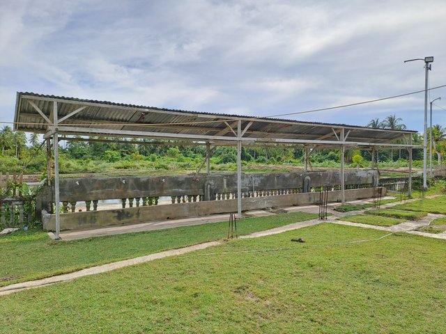 20250407_161842.jpg