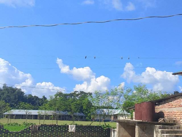1000051911.jpg