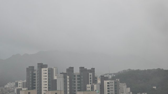 1000135672.jpg