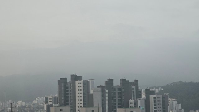 1000138915.jpg