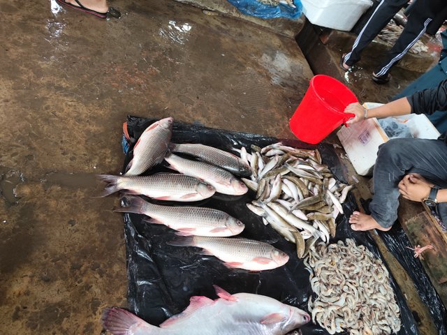 IMG_20250617_120519.jpg