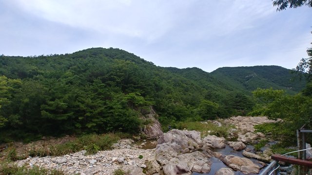 20180722_131351_HDR.jpg