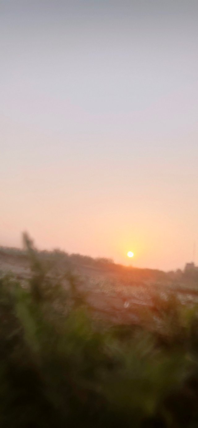 IMG_20200830_060246.jpg