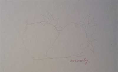 Strawberries Study