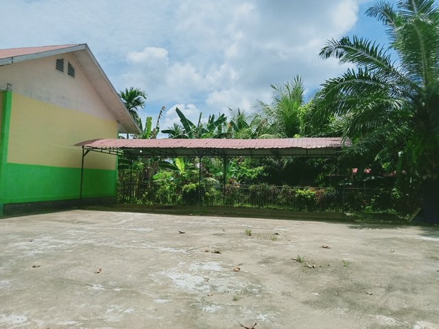 IMG20250312124215.jpg