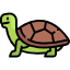 turtle (1).png