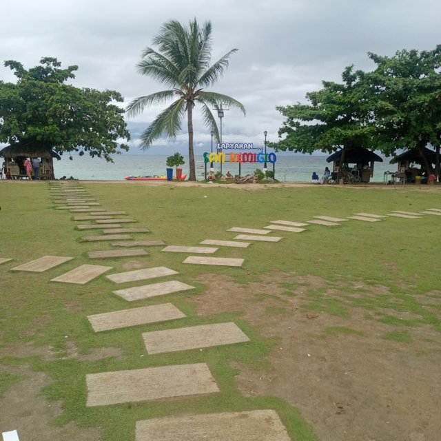 20250503_125312.jpg