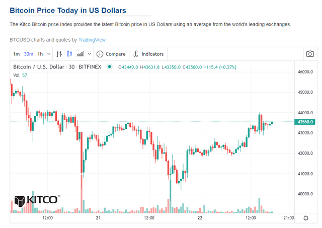 Bitcoin Price in USD - Real Time Bitcoin Chart.png