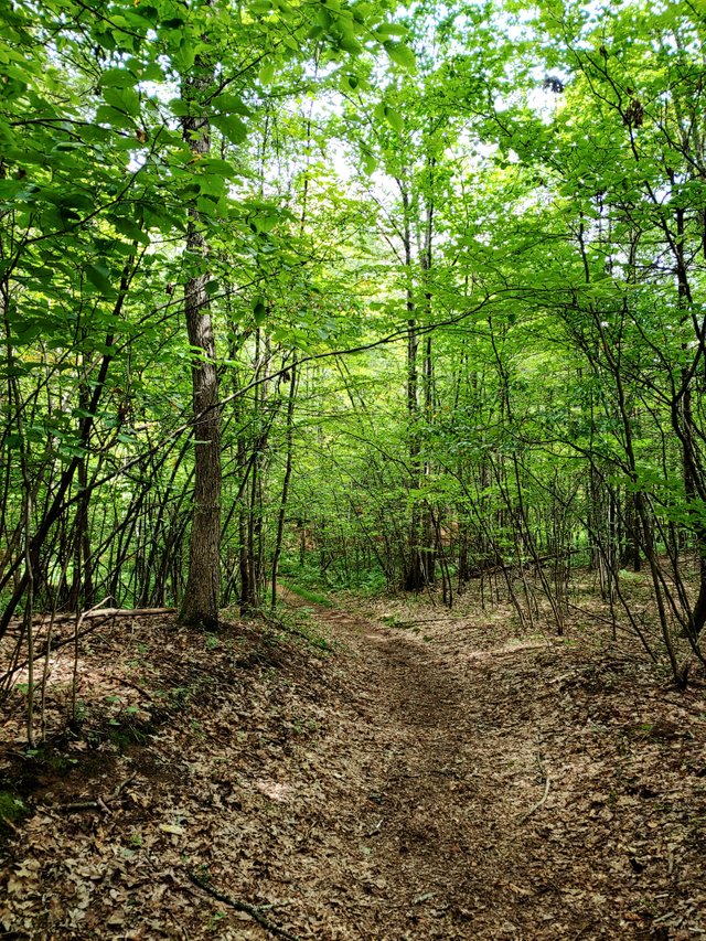 20190828_122156~3.jpg