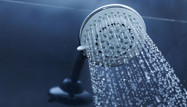 4825-what-are-cold-showers-good-for-135338.png