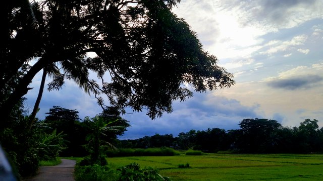 20250518_172626.jpg