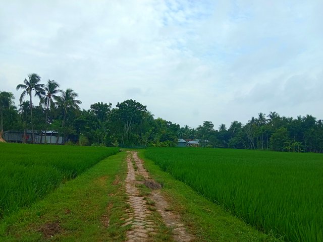 IMG_20250922_091142.jpg