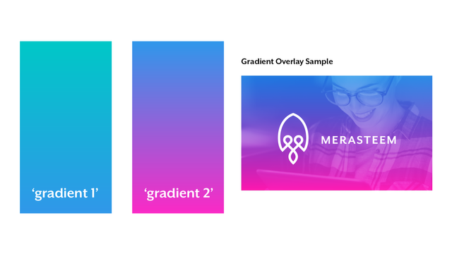 merasteem_logo_post_gradients.png
