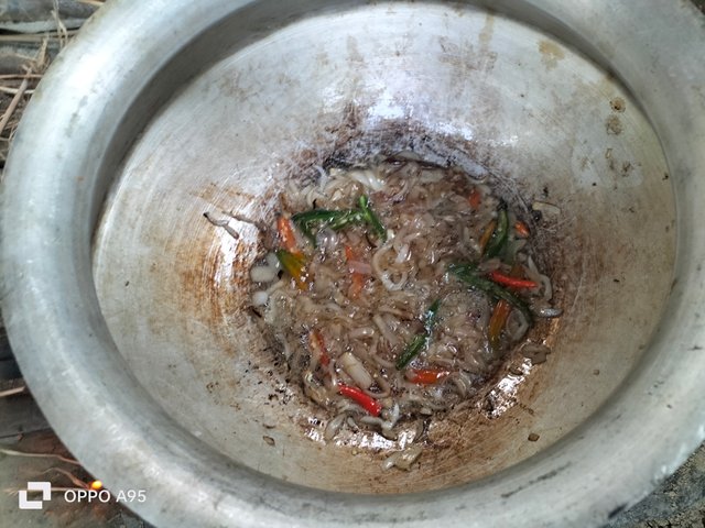 IMG20250612171502.jpg