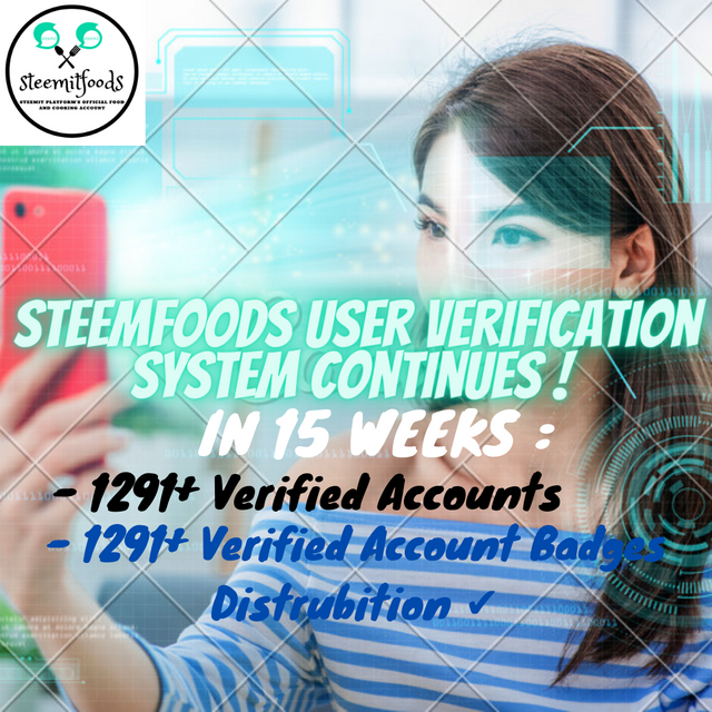 Verification System 15th Week.png