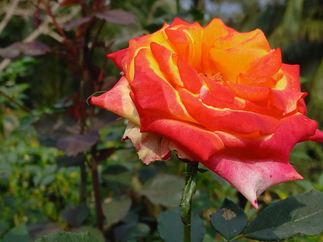 20240215_101947.jpg