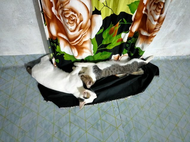 IMG20250919215803.jpg