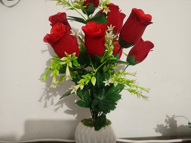 IMG_20231011_173214_699.jpg