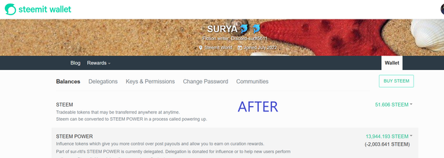 Screenshot (29).png