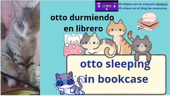 gato3.PNG