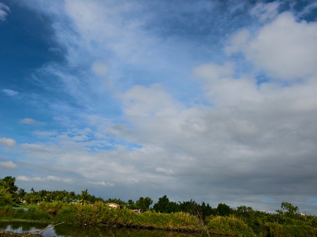IMG_20250317_082024 (1).jpg