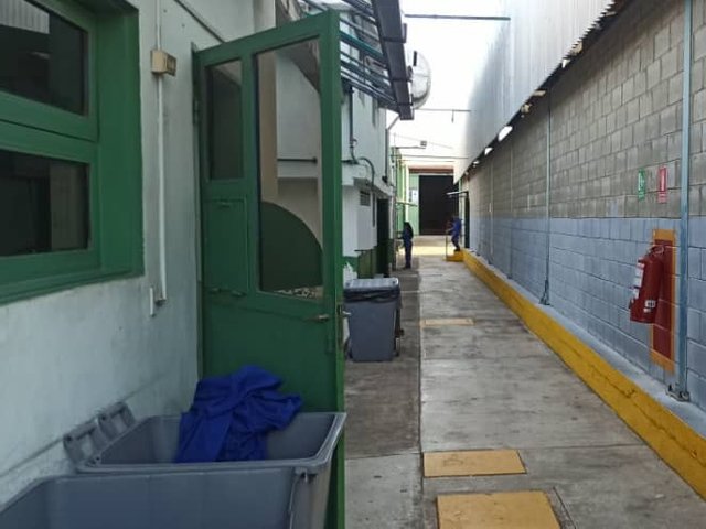IMG_20250617_103442.jpg